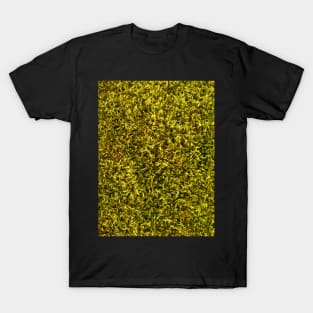 Forest Moss Background Texture T-Shirt